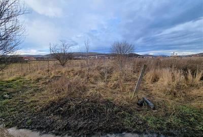 Teren intravilan de 2900 mp, în Sântana de Mureș - 4