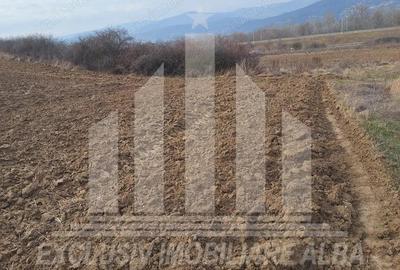 Teren agricol de vanzare, Salistea - 3