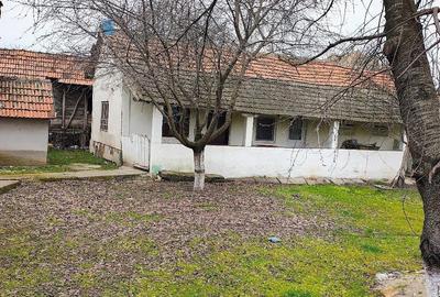 Casă cu 5 camere cu Teren 1600 Mp în Afumați