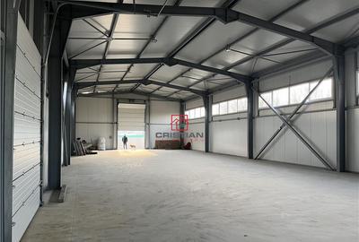 Depozit/hala/spatiu industrial Pantelimon - Centura - 2