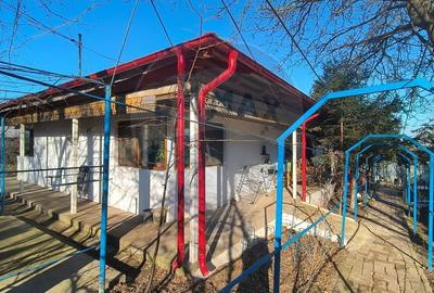 Casă cu 4 camere cu Teren 3495 Mp în Nord-Est - 2