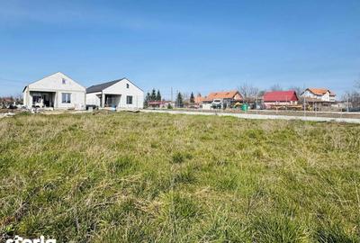 Casă cu 4 camere cu Teren 720 Mp în Borș - 2