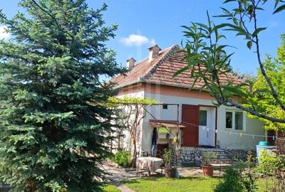 Casă cu 3 camere cu Teren 800 Mp în Boarta - 9