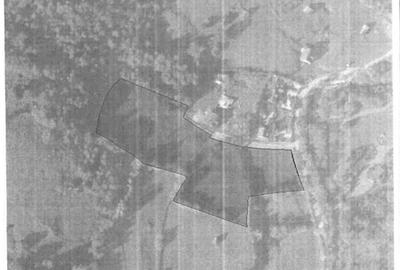 Teren de 17940 mp, în Vama - 1