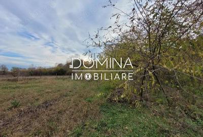 Teren de 4967 mp, în Bălești - 3