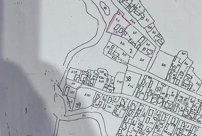 TL- Deltă / Sf. Gheorghe / intravilan - 1120 mp / 73500 € - 3