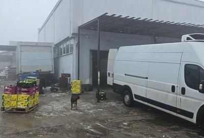 Hala 300 mp + teren 750 mp Popesti Leordeni - 2