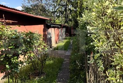 Apartament cu 3 camere, 73 mp utili + 67 mp curte, zona Bd. 21 Decembrie - 11