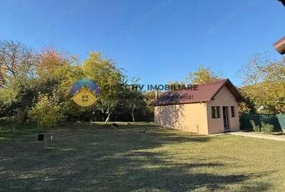 Casa + teren de vanzare Alma? - 1