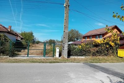 Spațiu comercial, în Băltița