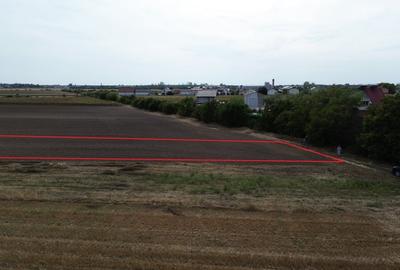Teren intravilan 1ha Darza ideal pentru case, hala, ferma - 3