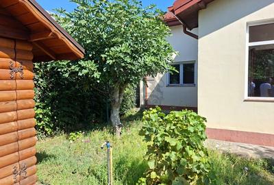 Vanzare | Casa | Otopeni Fermei | 2 Parcari | Curte libera 300 mp - 11