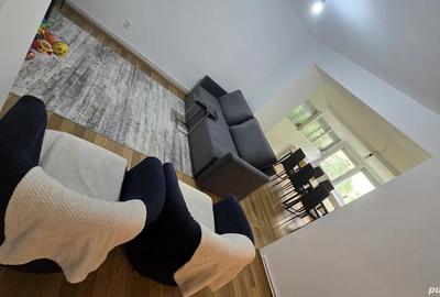 Pensiune cu 2 apartamente independente (total 8 camere) in Poiana Tapului - 9