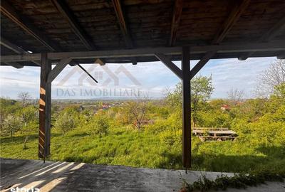 Casă cu 4 camere cu Teren 2341 Mp în Cicârlău - 12