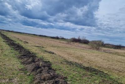 Teren Construcții intravilan de 630 mp, în Amați - 3