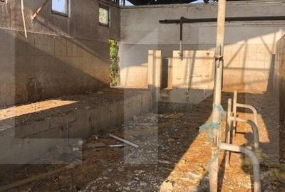Ferma de vanzare in jud. Covasna, suprafata teren 4824 mp - 3