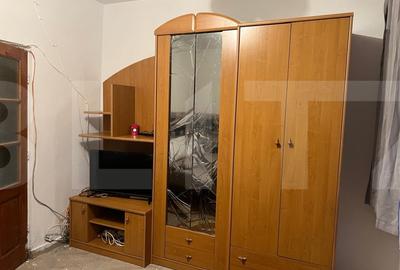 Apartament de vanzare, cu 1 camera, 16, 50 mp, zona Buziasului - 2