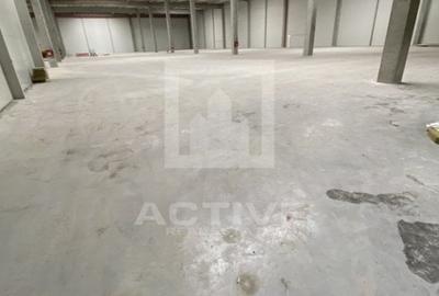 Spațiu industrial, 10000 mp în Someșeni - 2