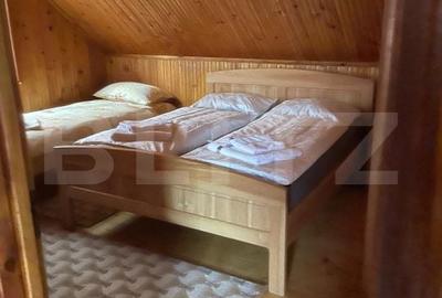 Spațiu comercial, de 450 mp, în Orăștioara de Sus - 10