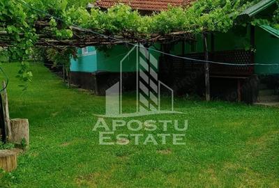 Casa batraneasca de vanzare | 4 camere | Hunedoara | Micane?ti - 8