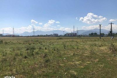 Teren de 30000 mp, în Sânpetru - 2