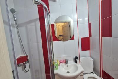 Apartament 2 camere, semidecomandat, 35mp, Valea Rosie, zona Profi - 6