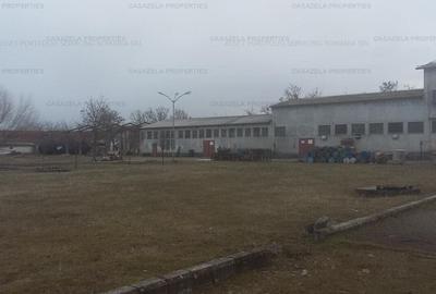 Spațiu comercial, de 1,419 mp, în Mișca - 2
