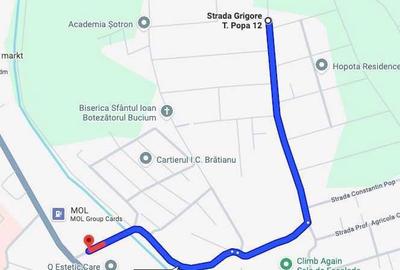 Spațiu comercial, în Bucium - 2