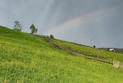 Vand casa 64mp+grajd 35mp+teren 6100mp, curent, apa, internet, deschidere la drum, in sat Glodu - 3