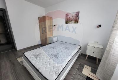 Apartament cu 3 camere decomandat, mobilat în Micălaca - 7
