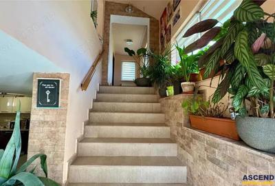 Casa stil,curte,garaj,Central,Brancovenesti, Mures, FILM Tur Virtual!