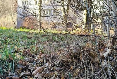 De vanzare-Proiect si autorizatie imobil 6 apartamente, 800 mp, P+2E+M-Sinaia - 1