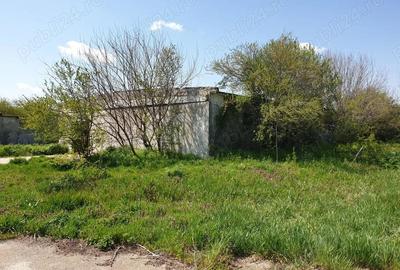 Inchiriere teren 30,000mp si hale in conservare Singureni Giurgiu - 3