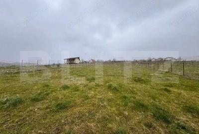 Teren intravilan, 731 mp, proiect de casa autorizat D+P+M, sat Goruni - 1