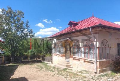 Casa veche si teren Izvorani - toate utilitatile - 5