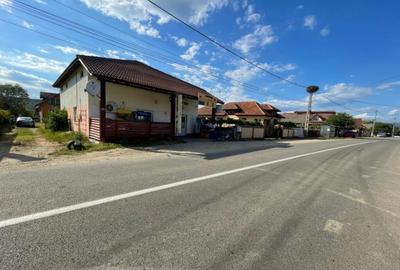 Oportunitate investi?ie in Turcine?ti la 2,5 km de Tg.Jiu Oportunitate investi?ie in Turcine?ti la 2,5 km de Tg.Jiu - 10