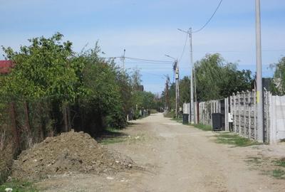 Domnesti Teghes-Padurarului - 10