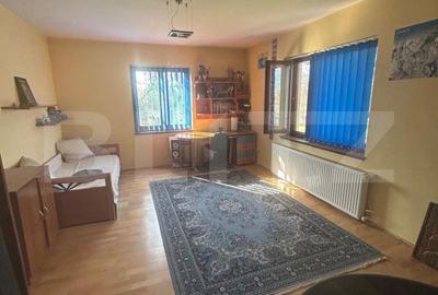 Casă cu 6 camere cu Teren 3982 Mp în Remetea Mare