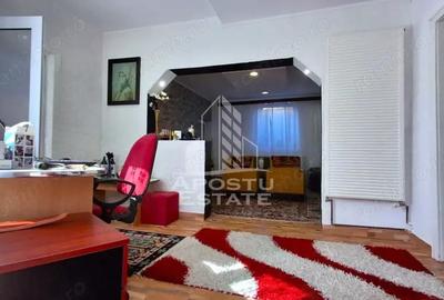 Casa de vanzare in Ineu formata din 2 cladiri - 8