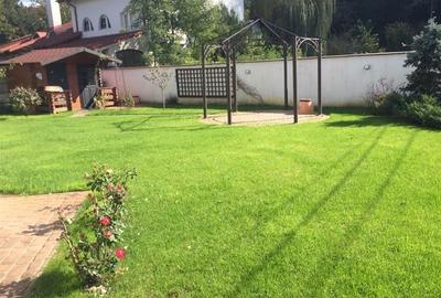 TEISANI - VILA SUPERBA LANGA PADURE, 2007, P+M, TEREN 550 MP! - 1