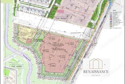 Teren de 55000 mp, în Sânandrei - 3