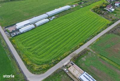 Spațiu comercial, în Ciolpani