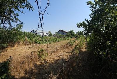 Vanzare teren Clinceni strada Principala - 7