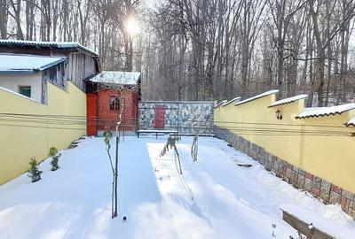 Zona Verde Aproape - 7