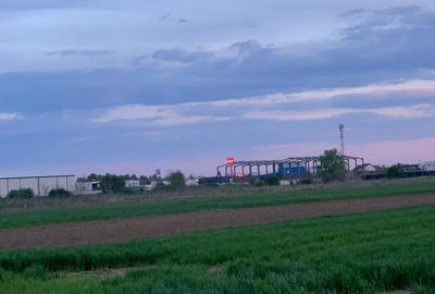 Teren Construcții intravilan de 1562 mp, în Afumați - 4