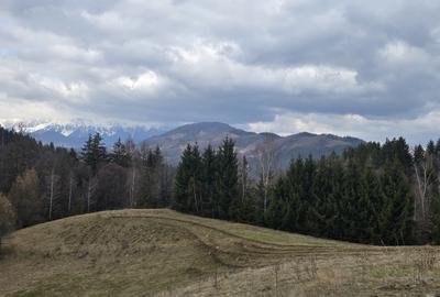 Teren Construcții intravilan de 3040 mp, în Bran - 2