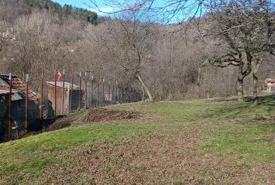 Casă cu 3 camere în Turcinești - 5