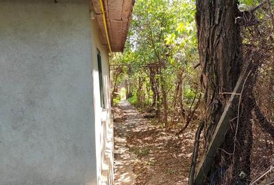 Casa de vanzare si 7600 mp teren intravilan Dor Marunt, Calarasi - 3