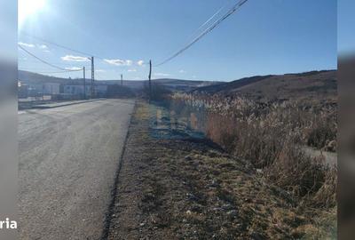 Teren de 5800 mp, în Apahida - 2