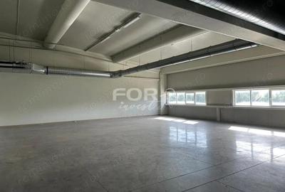 Hala industriala 4700 mp de inchiriat in zona Oncea Oradea - 11